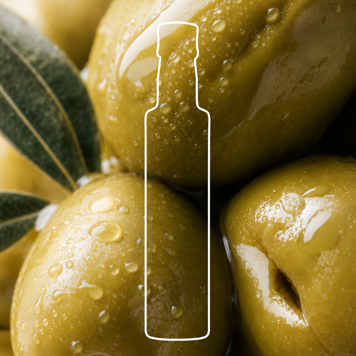Signature Organic Extra Virgin Olive Oil